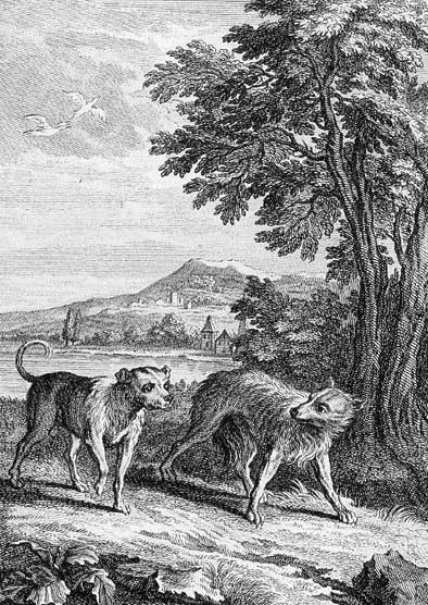 LOUP-ET-LE-CHIEN